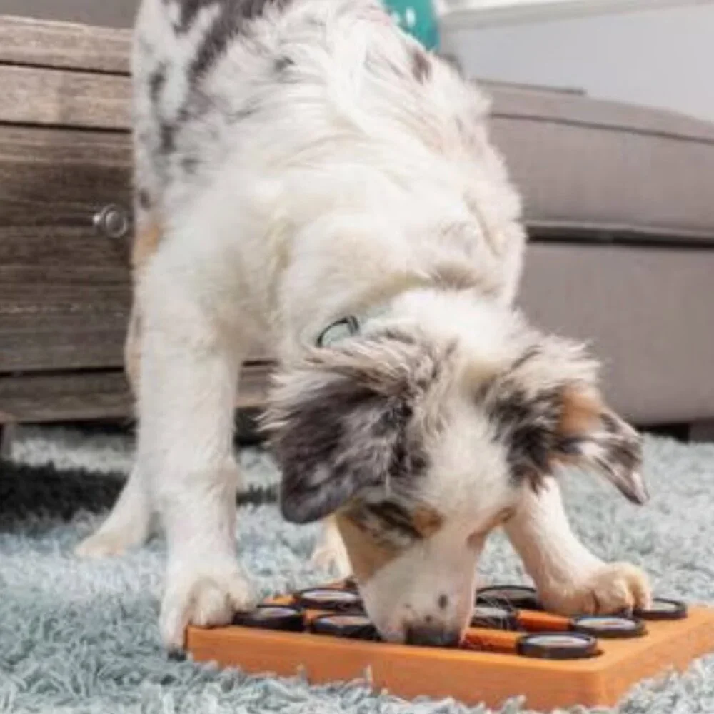 Treat Dispensing Puzzle Toy for Dogs & Cats
